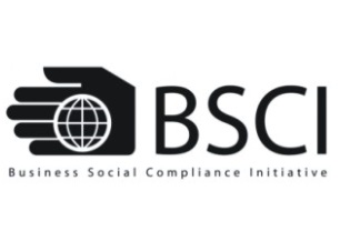 东莞市XX针织制衣有限公司通过BSCI社会责任体系认证！